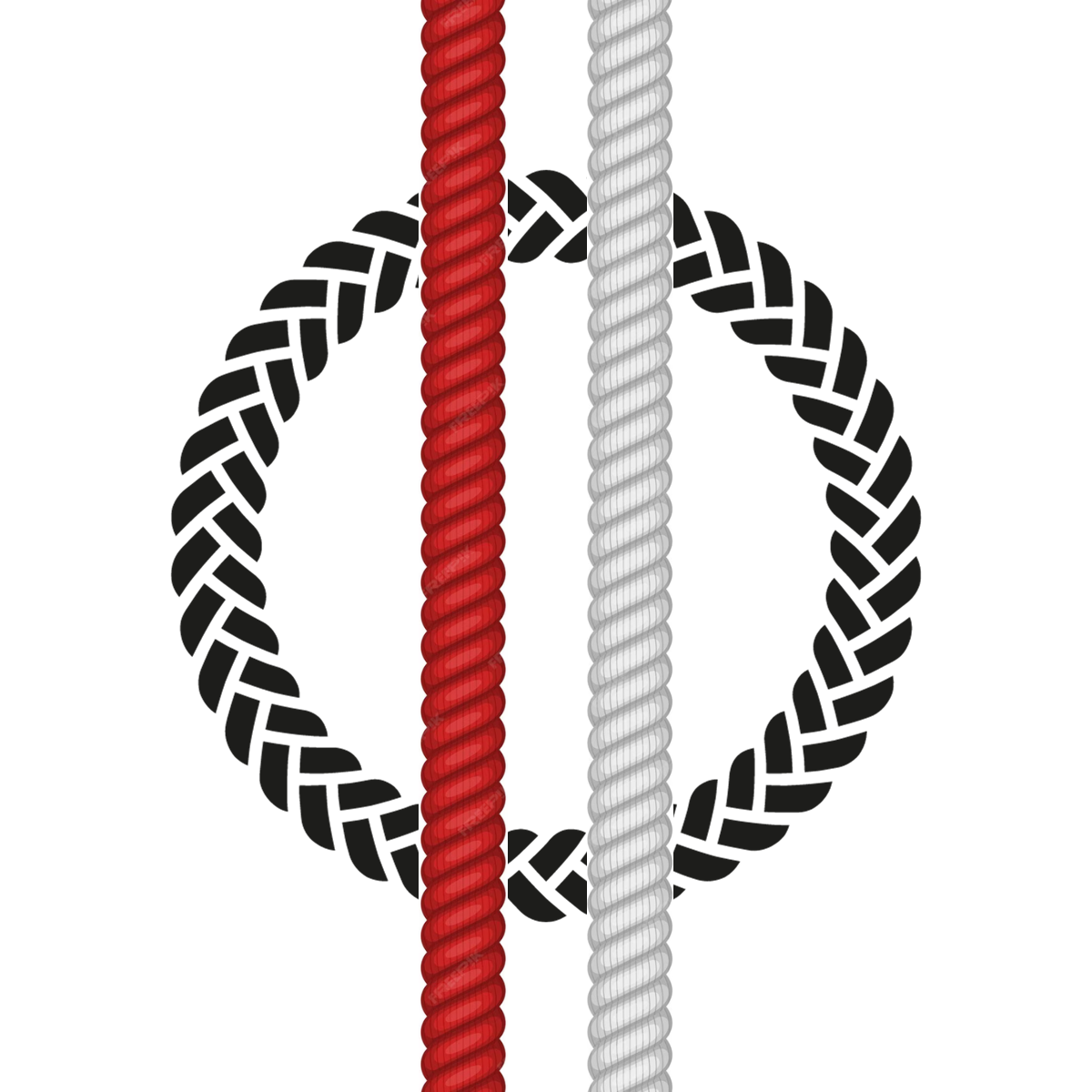 carbon braid logo